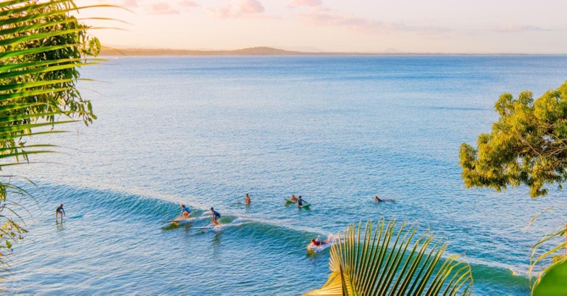 Little cove surfboards deals