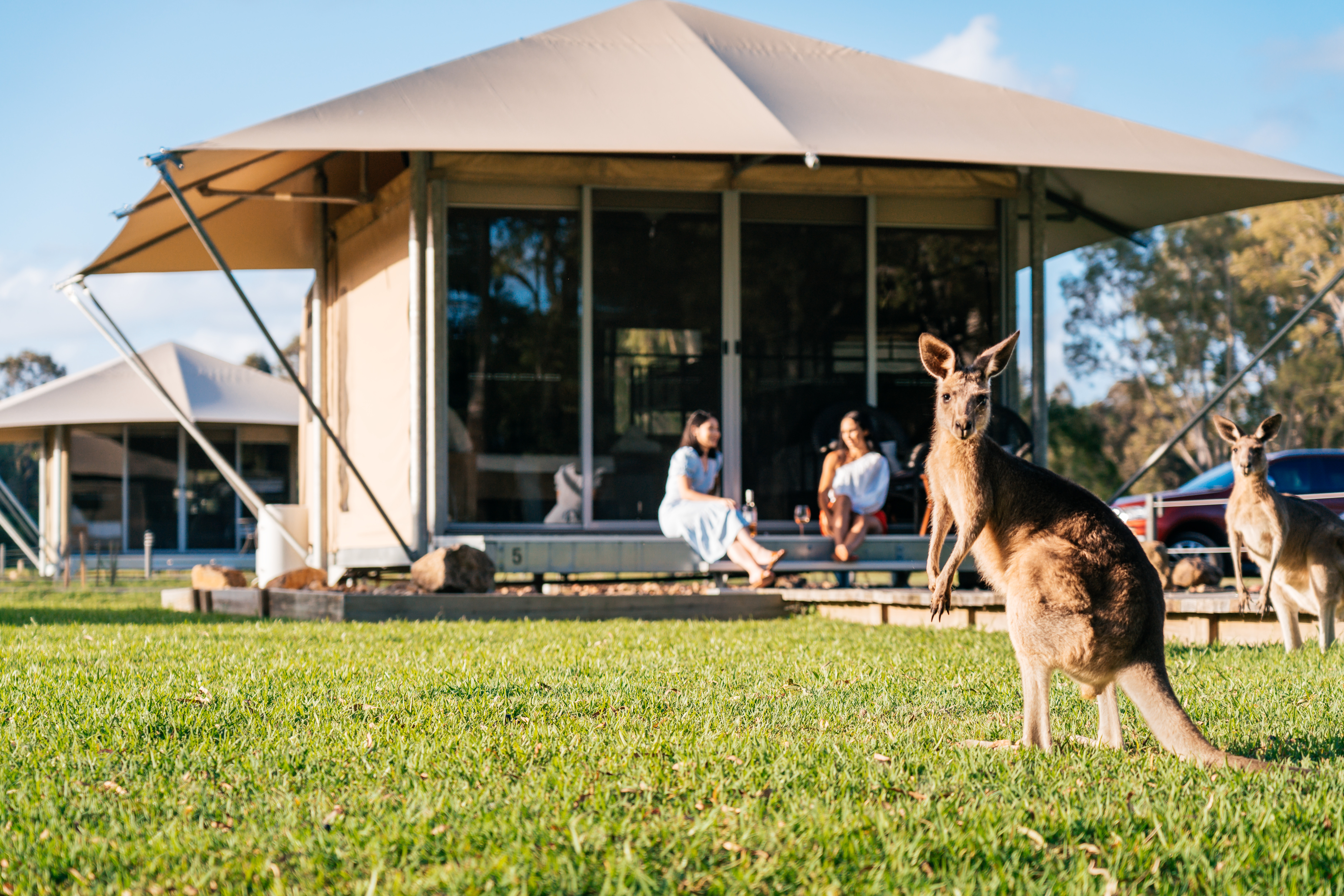 Visit Noosa Habitat Noosa Everglades EcoCamp