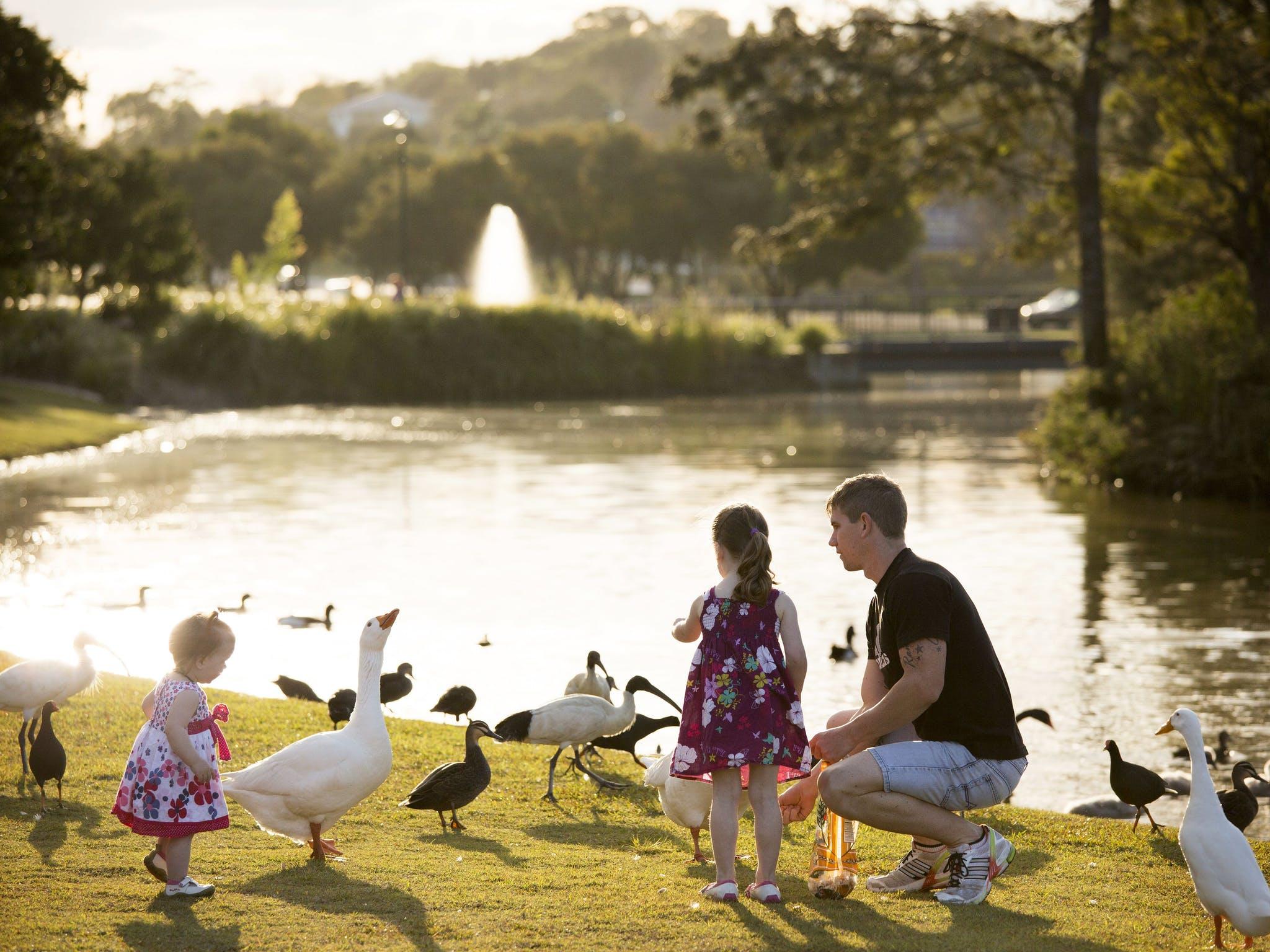 Visit Noosa Lake Alford Recreational Park