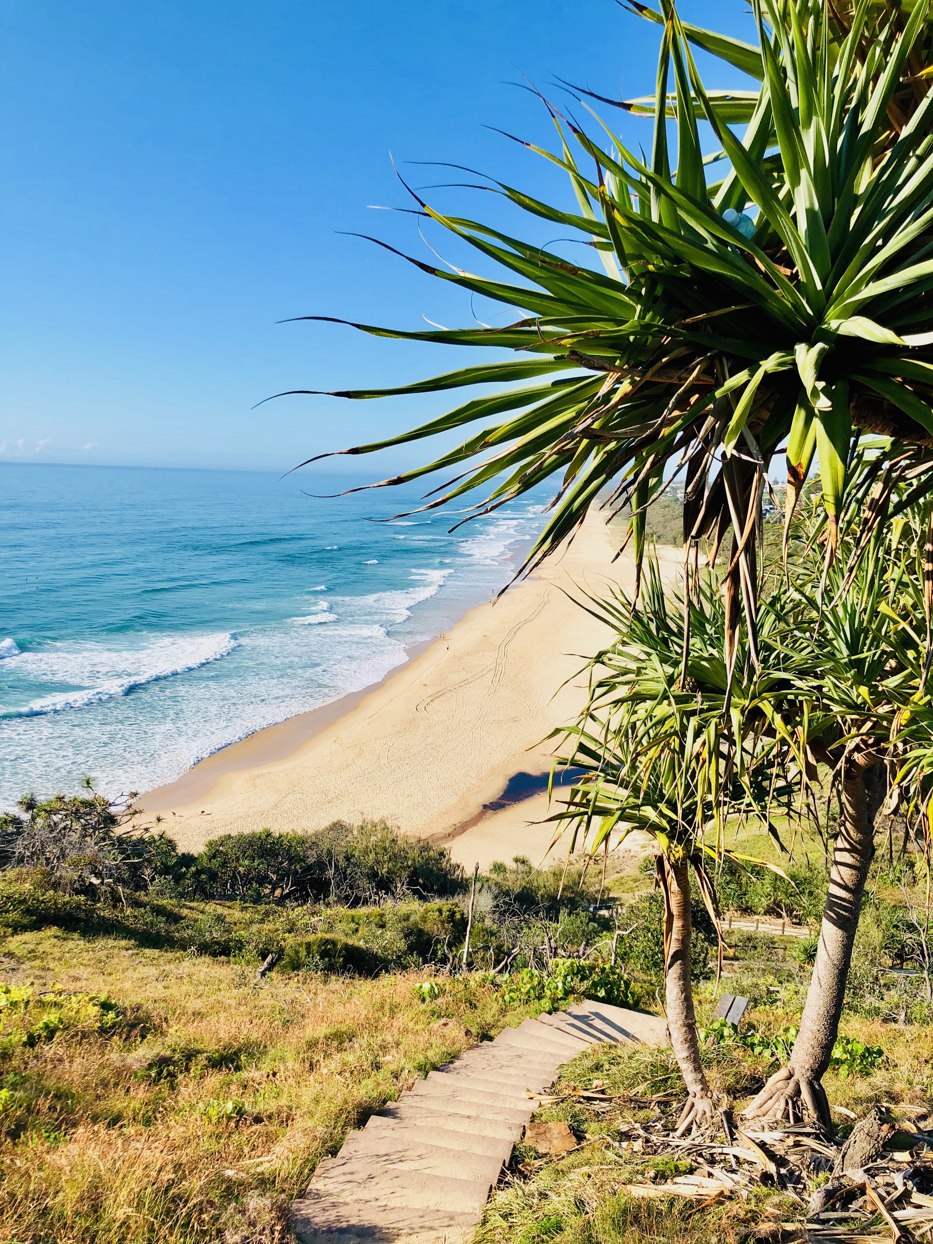 Visit Noosa 10 Top Sunshine Beach Restaurants